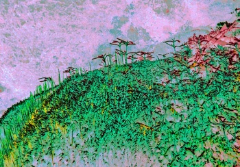L 038E
